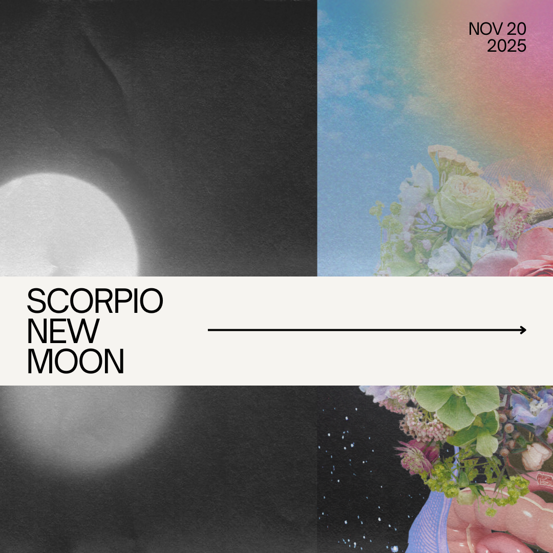 What the Scorpio New Moon Is Asking of You